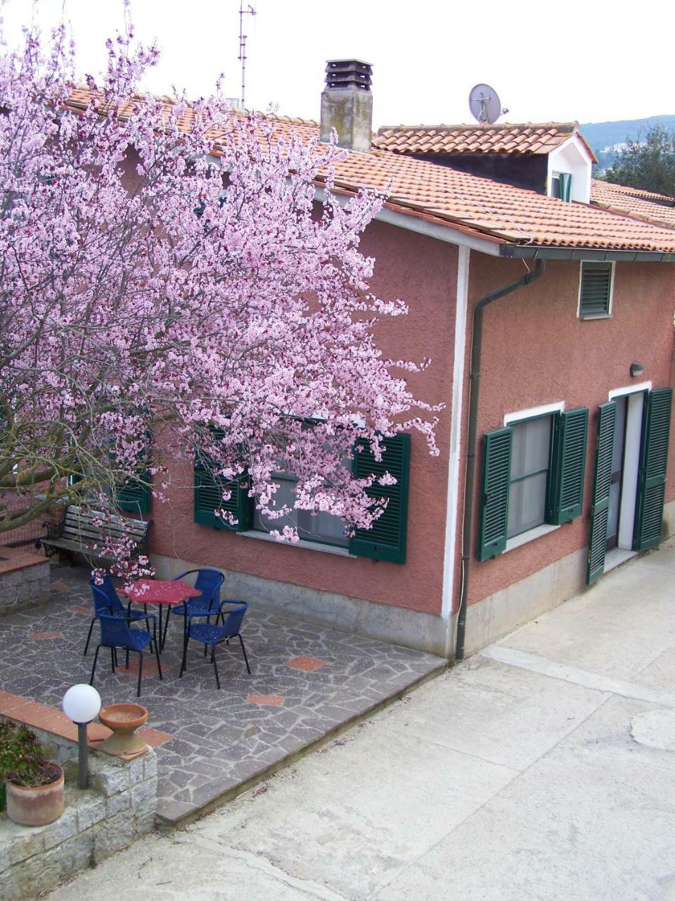 Appartamenti Gli Alberi Capoliveri  Bagian luar foto